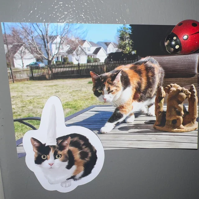 Thumbnail 20